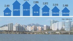 [전문가 칼럼]한강변 15층 아파트를 주목하라 