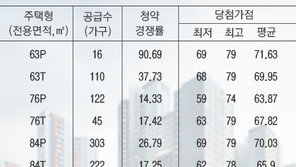 [정우룡의 부자東]희비 엇갈린 개포8.. 만점에 가까운 가점컷