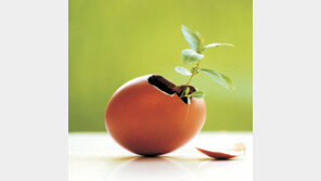 [新바람 한국기업]혁신… 상상 그 이상