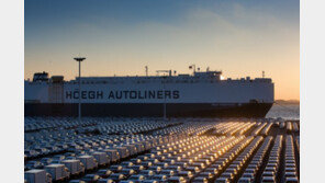 [新바람 한국기업]권역별 자율경영체제 도입해 아세안 등 새로운 시장 개척