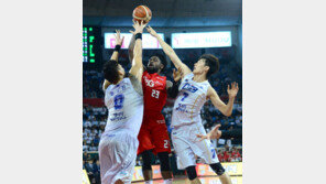 기대에 부응한 화이트, SK 승리를 책임지다.