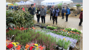‘옥천 묘목축제’ 4월 3일까지 개최