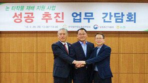 농협, 쌀 생산조정 참여 농가에 2000억 무이자 대출