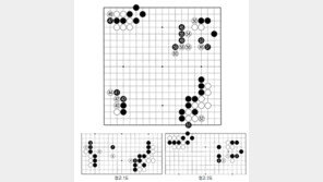 [바둑]알파고 vs 알파고 특선보… 잡을 테면 잡아 봐