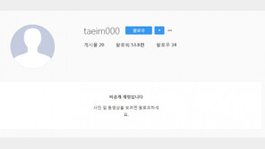 이태임, SNS 은퇴 암시 글 삭제→비공개 전환…“평범한 삶, 시작?”