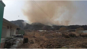 포천 산불…소방 당국 “헬기3·소방차 7대 투입…3000평 정도 소실”