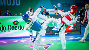 태권도, 법률로 국기(國技)지정 됐다!