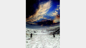 [윤여수의 라스트 씬①] 제주의 4월…동백꽃 모가지를 꺾어도 봄은 온다