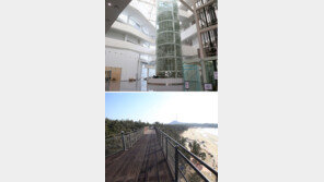 “생태 체험학습하며 생명의 바다 그리세요”