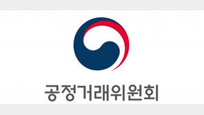 넥슨, 공정위 제재에 결정 존중.. "랜덤 지급 해석 차이는 있다"