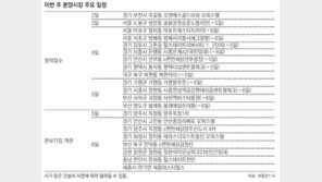 강남發 청약 열풍, 강북-수도권으로 번져