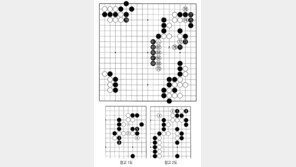 [바둑]알파고 vs 알파고 특선보… 흑이 별로 얻은 게 없다