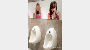 [고양이 눈]대놓고 보는 걸까요?