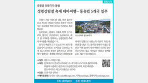 [알립니다]성령강림절 축제 테마여행… 동유럽 5개국 일주