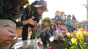 에버랜드, 식물사랑단 신규단원 모집