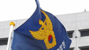 경찰 “‘미투’ 관련 수사 38건”…김흥국·던말릭·로타 정식수사, 김기덕은 내사