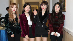 “레드벨벳 만나보고 싶었대요”