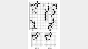 [바둑]알파고 vs 알파고 특선보… 흑의 중앙 경영
