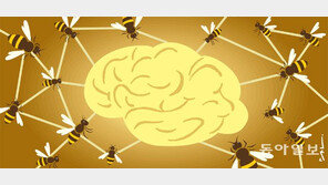 [김재호의 과학에세이]꿀벌들의 집단지성, 인간의 뇌를 닮다
