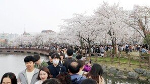 ‘광주의 허파’ 도시공원 6곳 개발 본격화