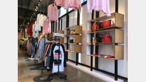 LAP KOREA, 일본 하라주쿠 첫 상륙