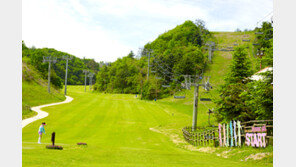 엘리시안강촌 퍼블릭CC ‘나인플러스 골프클럽‘ 개장