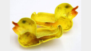 [퇴근길 육아] ‘13억 세균 창고’ 목욕 친구 러버덕의 배신