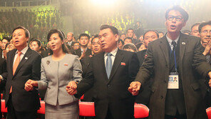 서현의 ‘푸른 버드나무’…北 관객들 ‘핸즈 업’