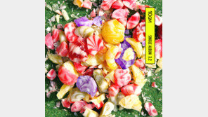 [이 노래] 만우절 이벤트 곡의 반전…‘벚꽃 엔딩’ 대항마 됐어요