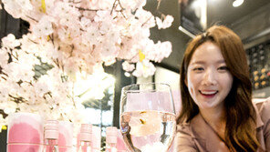 “봄에는 벚꽃 와인 어때요?”