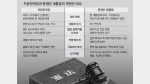한국당 “대통령은 통일 국방 외교업무… 총리가 內治 담당”