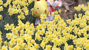 [고양이 눈]외출