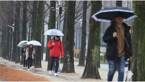 [날씨]전국 흐리고 비, 오후부터 그쳐…내일 새벽부터 다시 비+꽃샘추위 