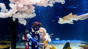 여의도 한화 아쿠아플라넷63, 봄꽃축제 맞춤 이벤트