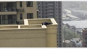 옥상서 자살하려던 남성, 만취 영향 잠든 덕에 목숨 구해