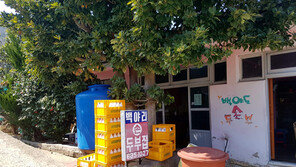 [낭만의 여수]짭조름한 순두부+요구르트맛 막걸리… 맛으로 기억하는 여수