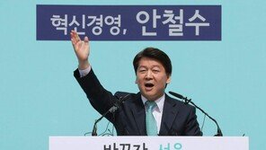 평화당, 서울시장 출마선언 안철수에 “서울시는 안랩 아냐, 시민 냉소 직시해야”