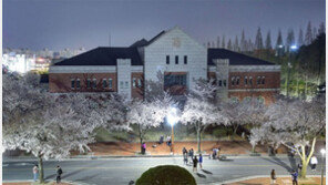 계명대 벚꽃길 야경