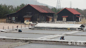 소래습지공원 폐염전 정지작업 한창