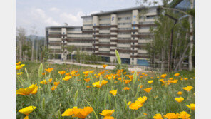 하이원 리조트, 숨은 명소 찾기 블로그 이벤트