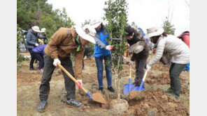 “식목일, 공휴일로 재지정해주세요”…靑 국민청원 줄잇는 이유?