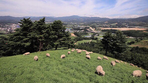 [K-Festival 2018]하이원리조트, 정선-태백에 ‘숨겨진 보물’ 보러 가자 外