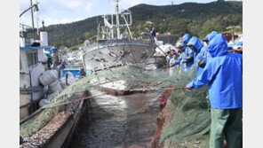 [K-Festival 2018]강진 청자축제, 올여름엔 비색 청자 매력에 ‘풍덩’ 빠져볼까 外