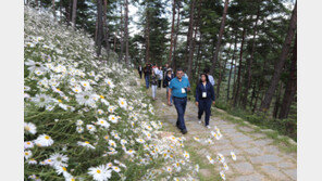 [K-Festival 2018]보령 머드축제, 뜨거운 여름, 보령에서 경험하는 일탈! 外