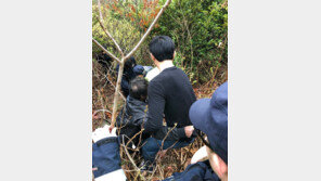 야산서 실종된 할머니 1시간 만에 찾아낸 드론수색대