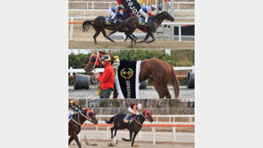 “지금부터가 전성기” 3세마의 반란이 시작됐다