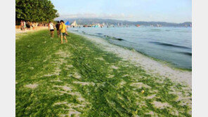 ‘시궁창’ 오명 쓴 지상 낙원, 보라카이 6개월간 문닫는다