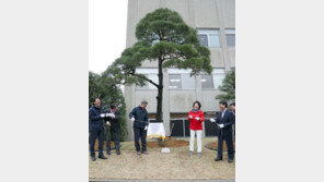 식목일 맞아 소나무 심은 문재인 대통령 내외