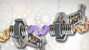 ‘크리스퍼 유전자 가위’ 임상시험, 중국이 독식?
