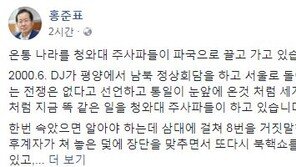 홍준표 “봄이온다 난리들…DJ 주도한 조용필 평양공연 평화 가져왔나?”